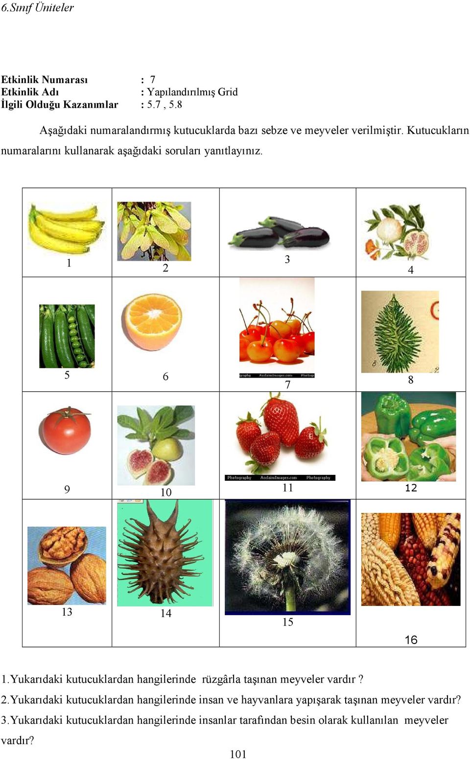 Kutucukların numaralarını kullanarak aşağıdaki soruları yanıtlayınız. 1 2 3 4 5 6 7 8 9 10 11 12 13 14 15 16 1.