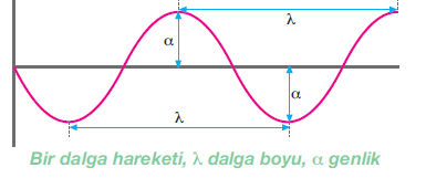 10 10 cm/sn ÇÖZÜM: Işığın hızı (c), dalga boyu (λ) ve frekansı (ν) arasındaki ilişki şu şekildedir. c:. c: 3.10 10 cm/s 3.10 10 cm/s = ν. 4,8.10-5 cm : 4,8.10-5 ν: 6,25.10 14 hertz ν:?