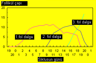 20.01.2013 Prof.