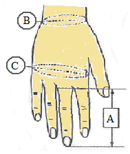 Üst kol manģeti veya bandajı gerekliyse üst kolun uzunluk ve çevre ölçülerini alabilirsiniz. Ölçtüğünüz tüm değerleri dirsek altı protezi ölçü formuna yazınız. Sağlıklı kolun mertik ölçülerini alınız.
