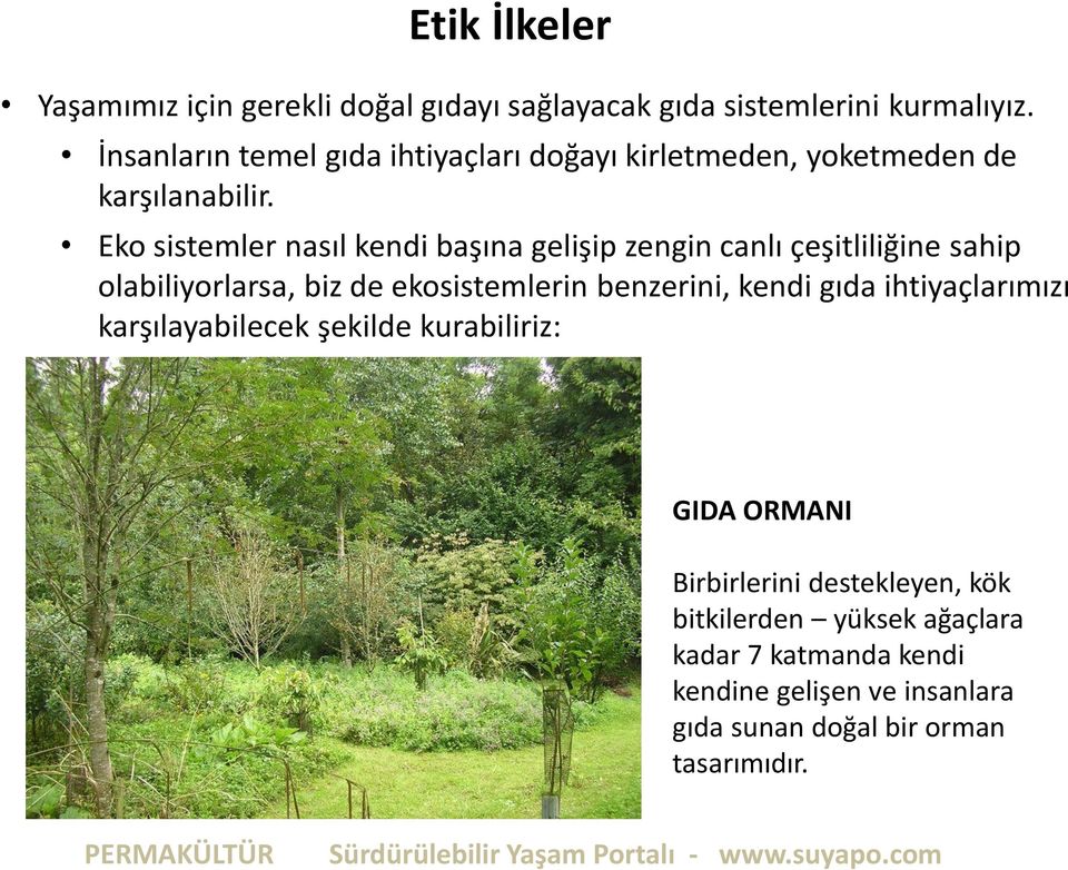 Eko sistemler nasıl kendi başına gelişip zengin canlı çeşitliliğine sahip olabiliyorlarsa, biz de ekosistemlerin benzerini, kendi