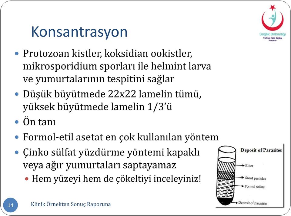 tanı Formol-etil asetat en çok kullanılan yöntem Çinko sülfat yüzdürme yöntemi kapaklı veya ağır