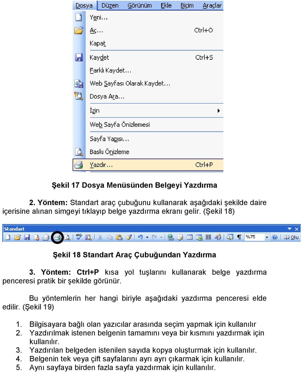 Bu yöntemlerin her hangi biriyle aşağıdaki yazdırma penceresi elde edilir. (Şekil 19) 1. Bilgisayara bağlı olan yazıcılar arasında seçim yapmak için kullanılır 2.