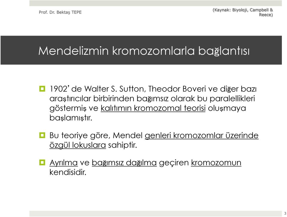 paralellikleri göstermiş ve kalıtımın kromozomal teorisi oluşmaya başlamıştır.