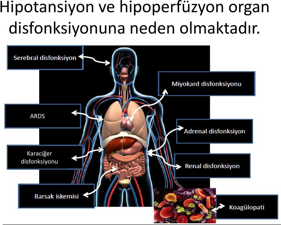 disfonksiyonuna neden