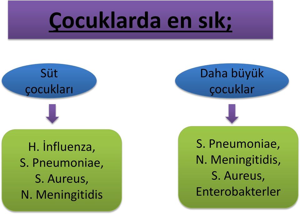 Pneumoniae, S. Aureus, N. Meningitidis S.