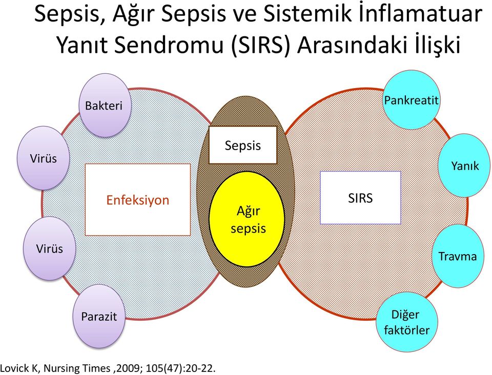 Virüs Virüs Enfeksiyon Sepsis Ağır sepsis SIRS Yanık