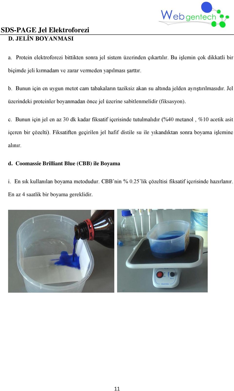 Bunun için jel en az 30 dk kadar fiksatif içerisinde tutulmalıdır (%40 metanol, %10 acetik asit içeren bir çözelti).