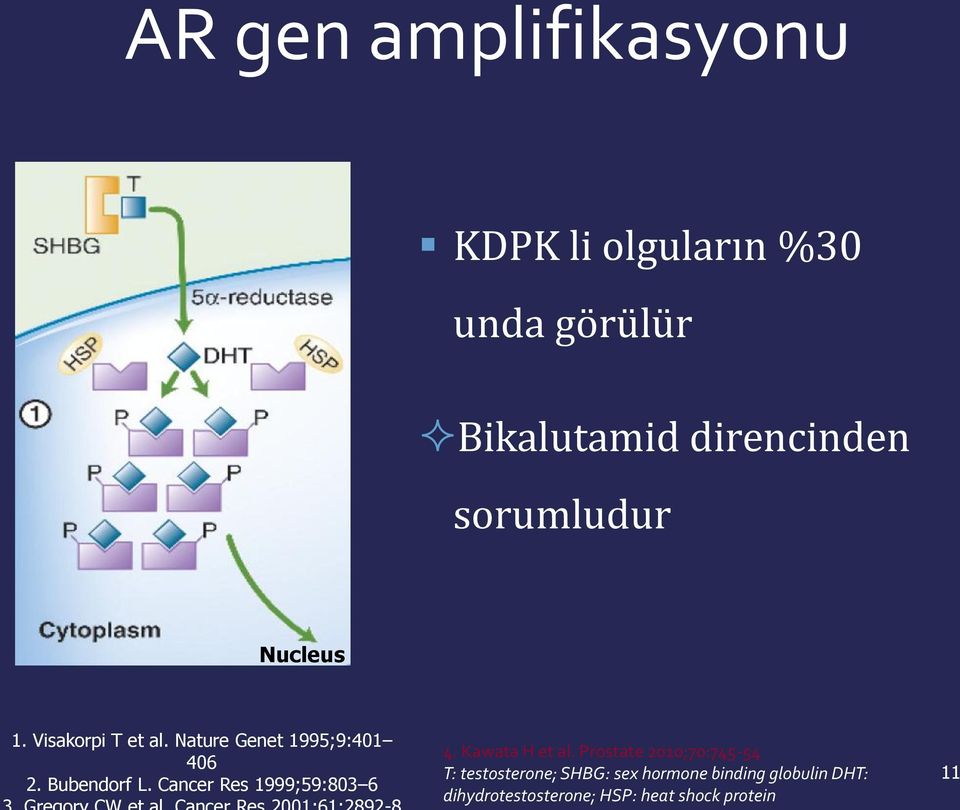 Cancer Res 1999;59:803 6 4. Kawata H et al.