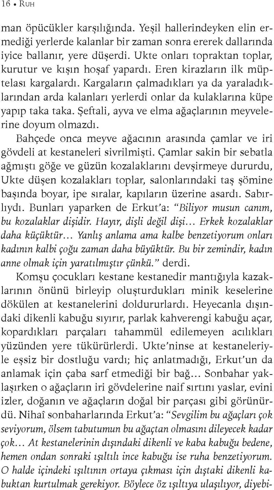 Kargaların çalmadıkları ya da yaraladıklarından arda kalanları yerlerdi onlar da kulaklarına küpe yapıp taka taka. Şeftali, ayva ve elma ağaçlarının meyvelerine doyum olmazdı.