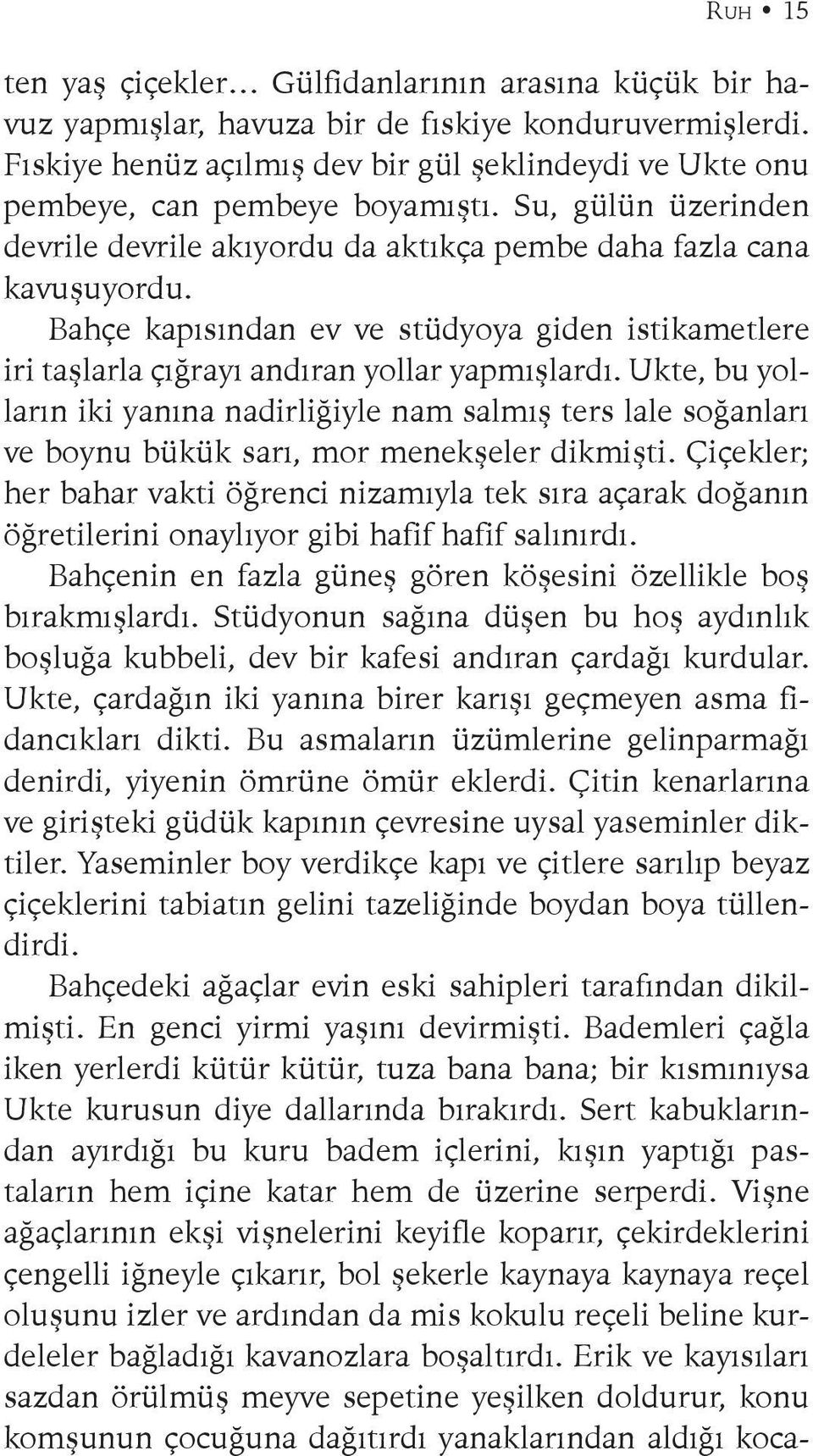 Bahçe kapısından ev ve stüdyoya giden istikametlere iri taşlarla çığrayı andıran yollar yapmışlardı.