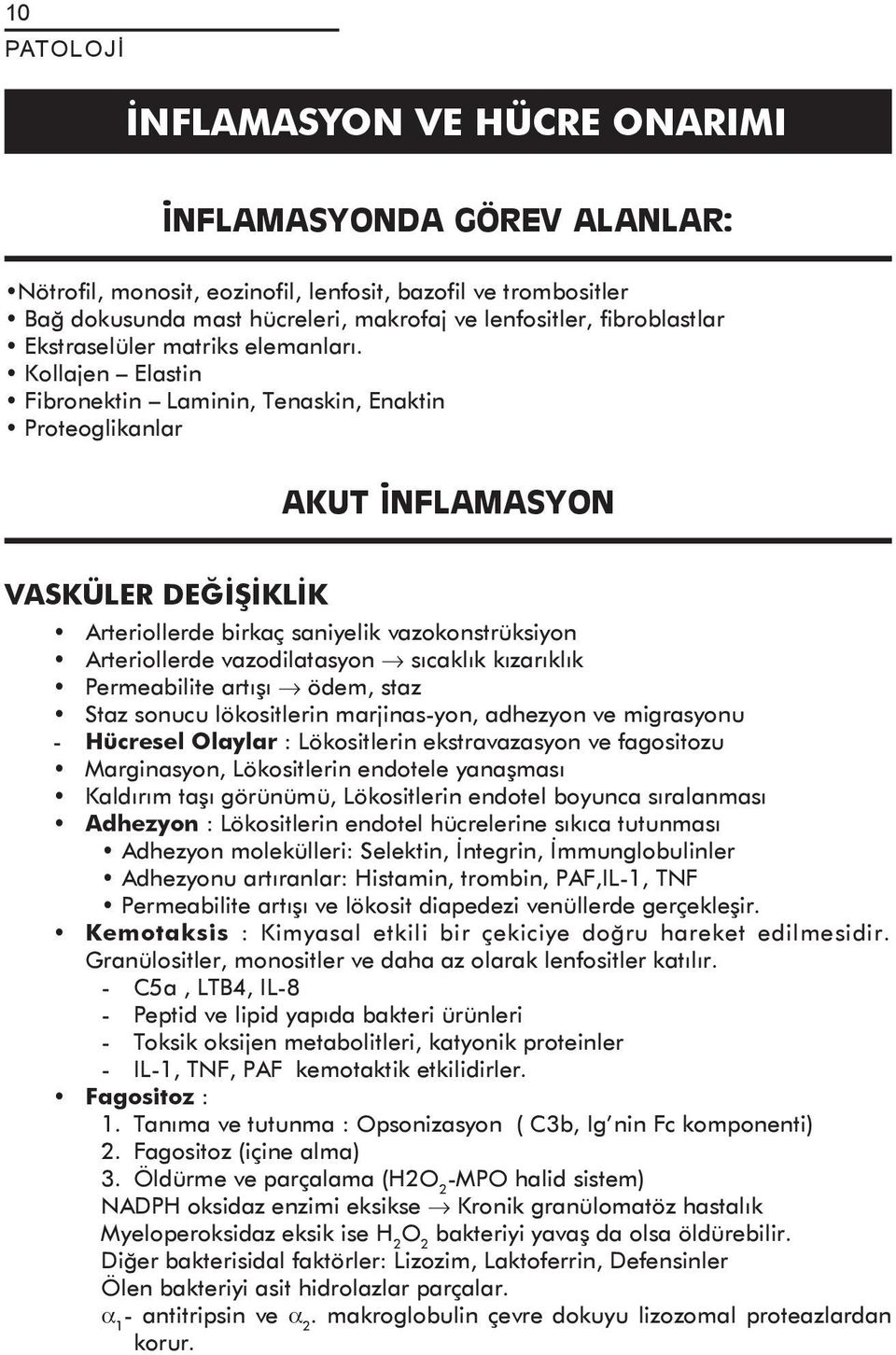 Kollajen Elastin Fibronektin Laminin, Tenaskin, Enaktin Proteoglikanlar AKUT İNFLAMASYON VASKÜLER DEĞİŞİKLİK Arteriollerde birkaç saniyelik vazokonstrüksiyon Arteriollerde vazodilatasyon sıcaklık