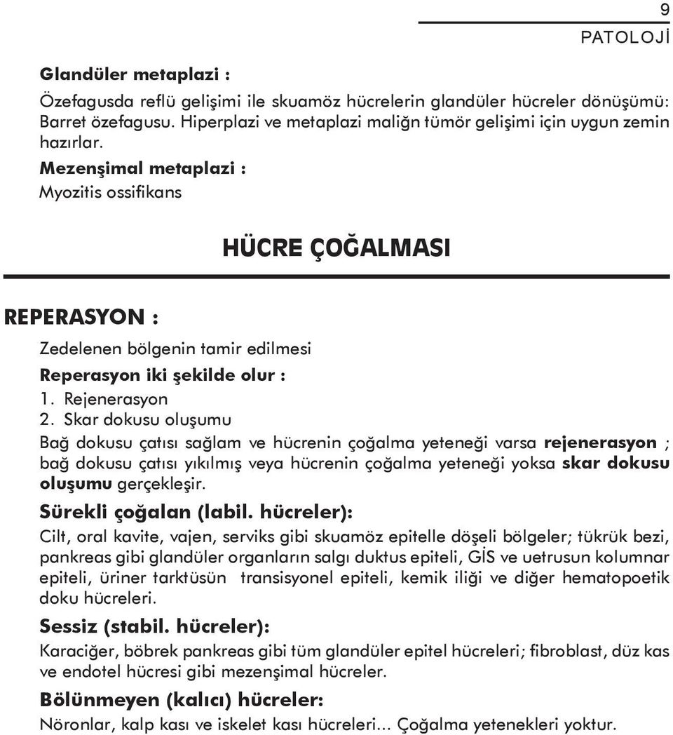 Skar dokusu oluşumu Bağ dokusu çatısı sağlam ve hücrenin çoğalma yeteneği varsa rejenerasyon ; bağ dokusu çatısı yıkılmış veya hücrenin çoğalma yeteneği yoksa skar dokusu oluşumu gerçekleşir.