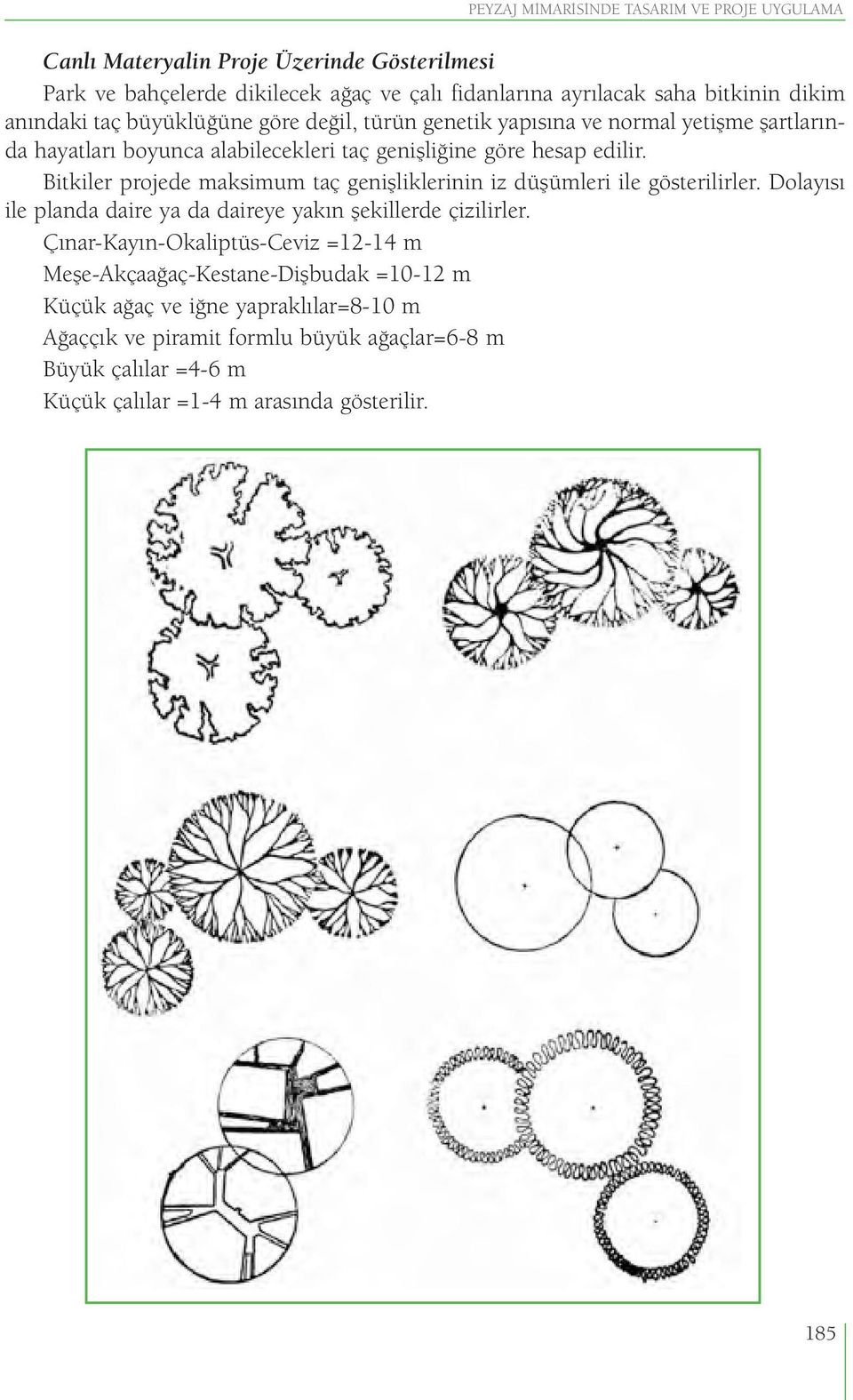 Bitkiler projede maksimum taç genişliklerinin iz düşümleri ile gösterilirler. Dolayısı ile planda daire ya da daireye yakın şekillerde çizilirler.