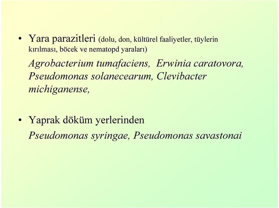 Erwinia caratovora, Pseudomonas solanecearum, Clevibacter