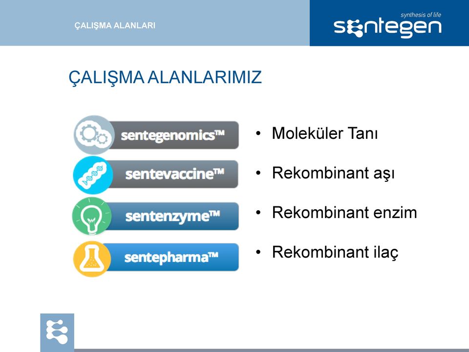 Tanı Rekombinant aşı