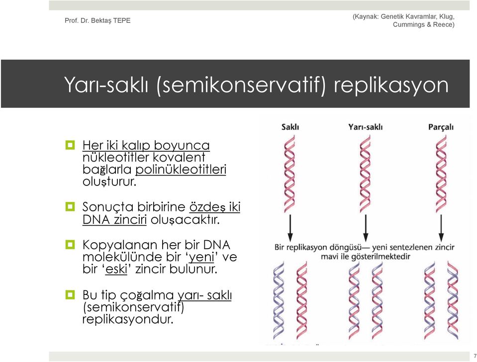 Sonuçta birbirine özdeş iki DNA zinciri oluşacaktır.