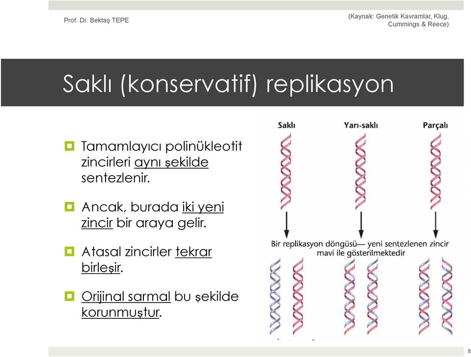 Ancak, burada iki yeni zincir bir araya gelir.