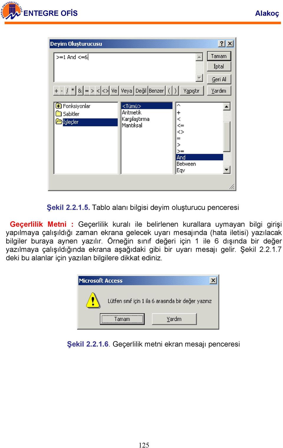 girişi yapılmaya çalışıldığı zaman ekrana gelecek uyarı mesajında (hata iletisi) yazılacak bilgiler buraya aynen yazılır.