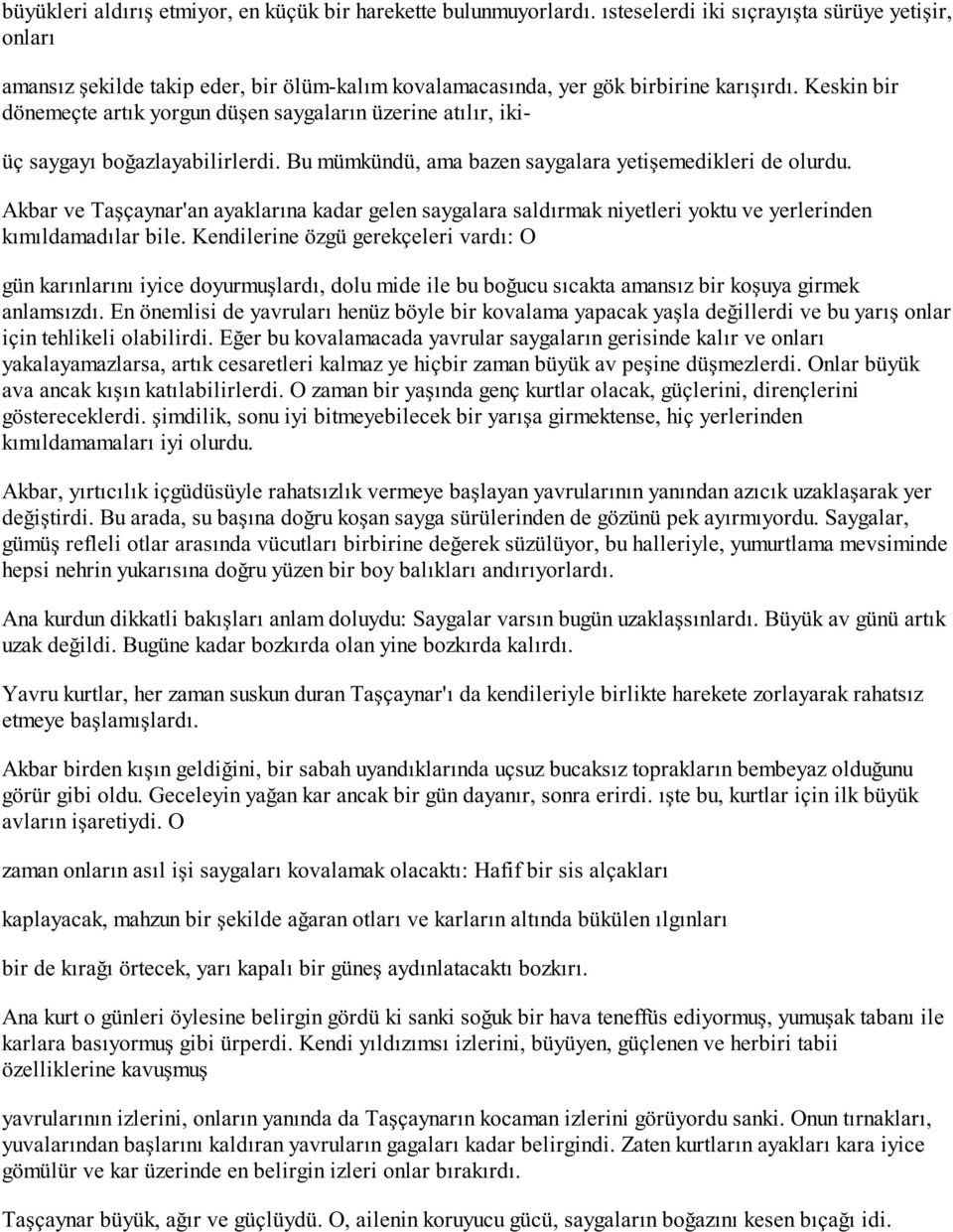 Keskin bir dönemeçte artık yorgun düşen saygaların üzerine atılır, ikiüç saygayı boğazlayabilirlerdi. Bu mümkündü, ama bazen saygalara yetişemedikleri de olurdu.