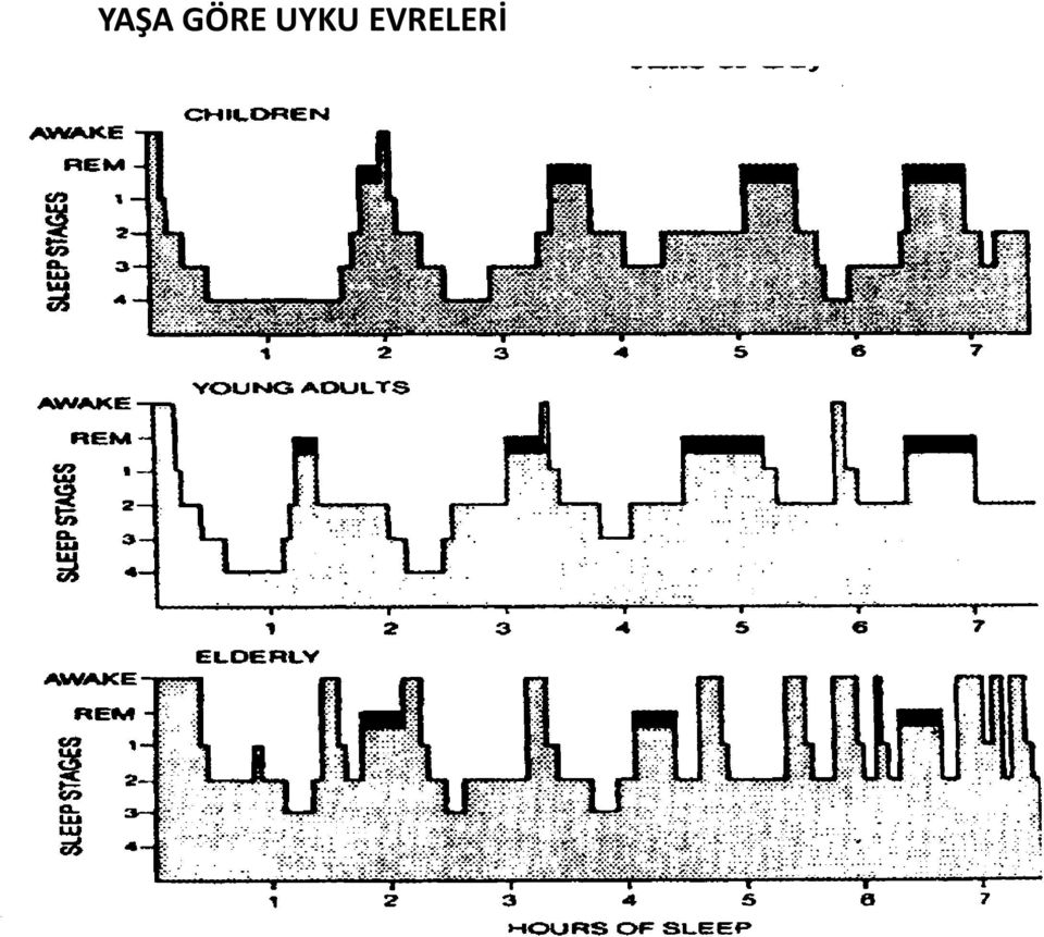 EVRELERİ