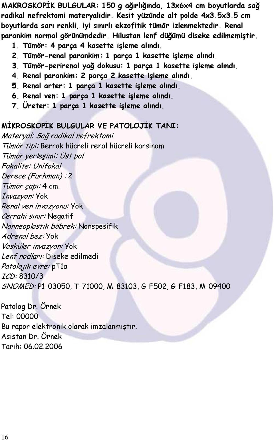 Tümör-renal parankim: 1 parça 1 kasette işleme alındı. 3. Tümör-perirenal yağ dokusu: 1 parça 1 kasette işleme alındı. 4. Renal parankim: 2 parça 2 kasette işleme alındı. 5.