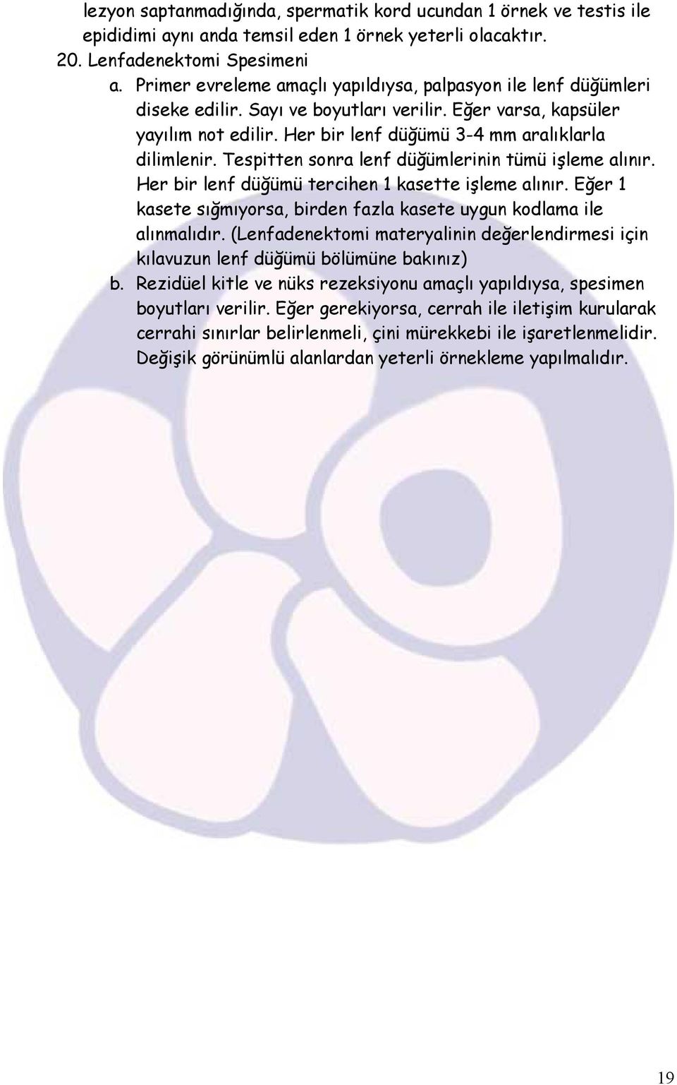 Tespitten sonra lenf düğümlerinin tümü işleme alınır. Her bir lenf düğümü tercihen 1 kasette işleme alınır. Eğer 1 kasete sığmıyorsa, birden fazla kasete uygun kodlama ile alınmalıdır.