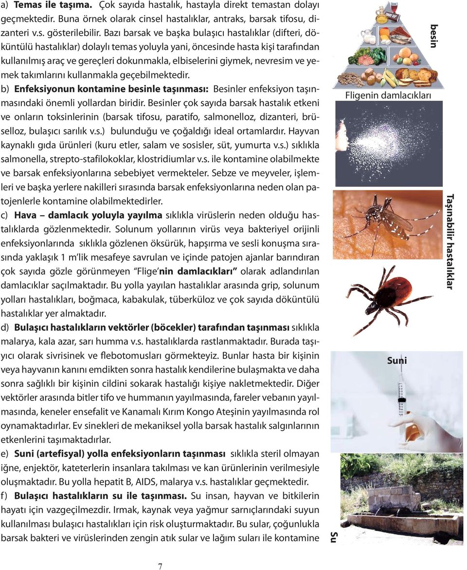 nevresim ve yemek takımlarını kullanmakla geçebilmektedir. b) Enfeksiyonun kontamine besinle taşınması: Besinler enfeksiyon taşınmasındaki önemli yollardan biridir.