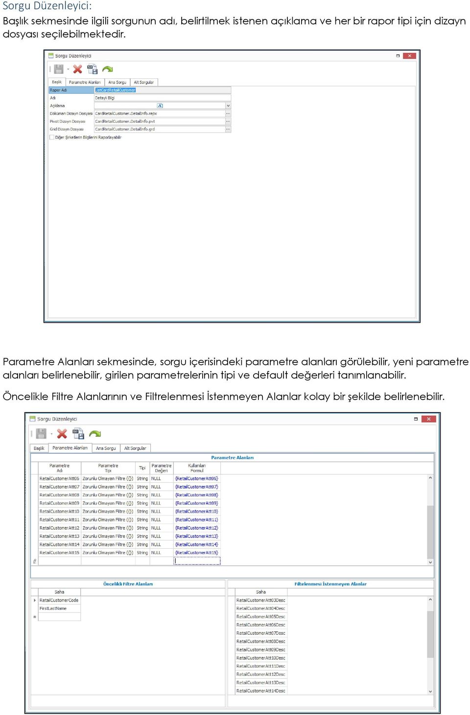 Parametre Alanları sekmesinde, sorgu içerisindeki parametre alanları görülebilir, yeni parametre alanları