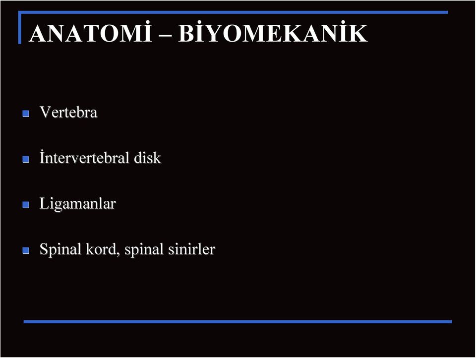 İntervertebral disk