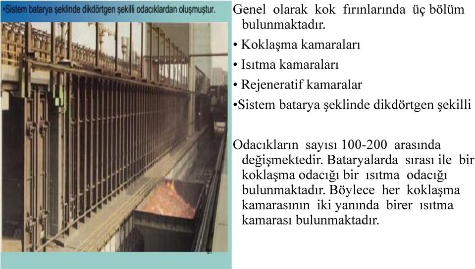 dikdörtgen şekilli Odacıkların sayısı 100-200 arasında değişmektedir.