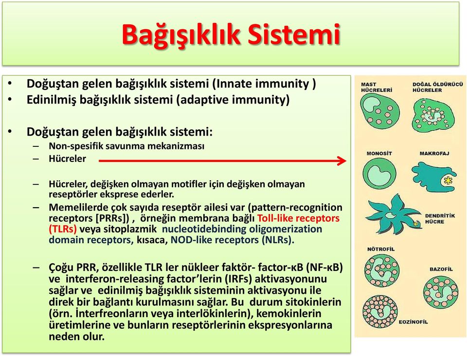 Memelilerde çok sayıda reseptör ailesi var (pattern-recognition receptors [PRRs]), örneğin membrana bağlı Toll-like receptors (TLRs) veya sitoplazmik nucleotidebinding oligomerization domain