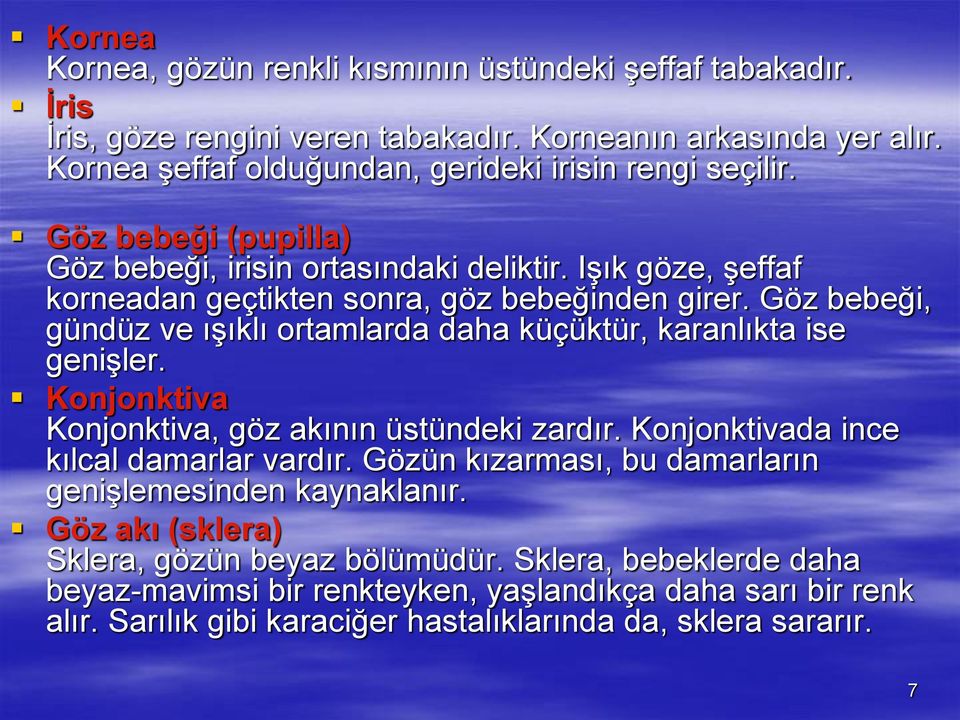 Göz bebeği, gündüz ve ışıklı ortamlarda daha küçüktür, karanlıkta ise genişler. Konjonktiva Konjonktiva, göz akının üstündeki zardır. Konjonktivada ince kılcal damarlar vardır.