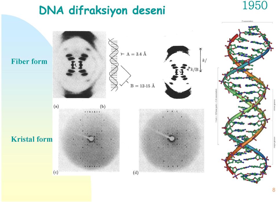 deseni 1950