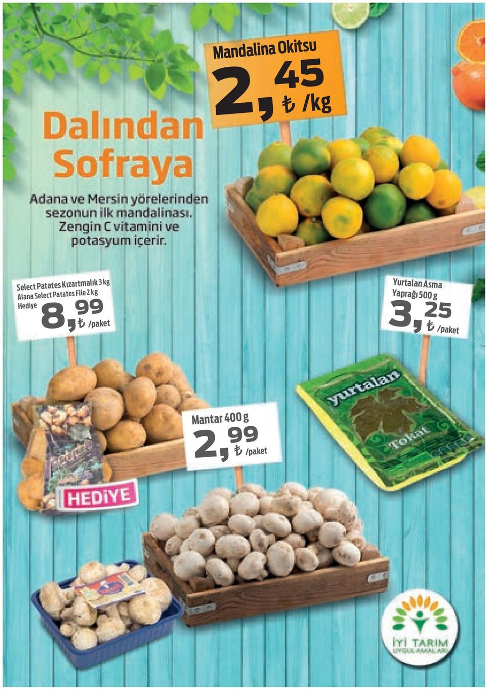 File 2 kg Hediye /paket Yurtalan Asma