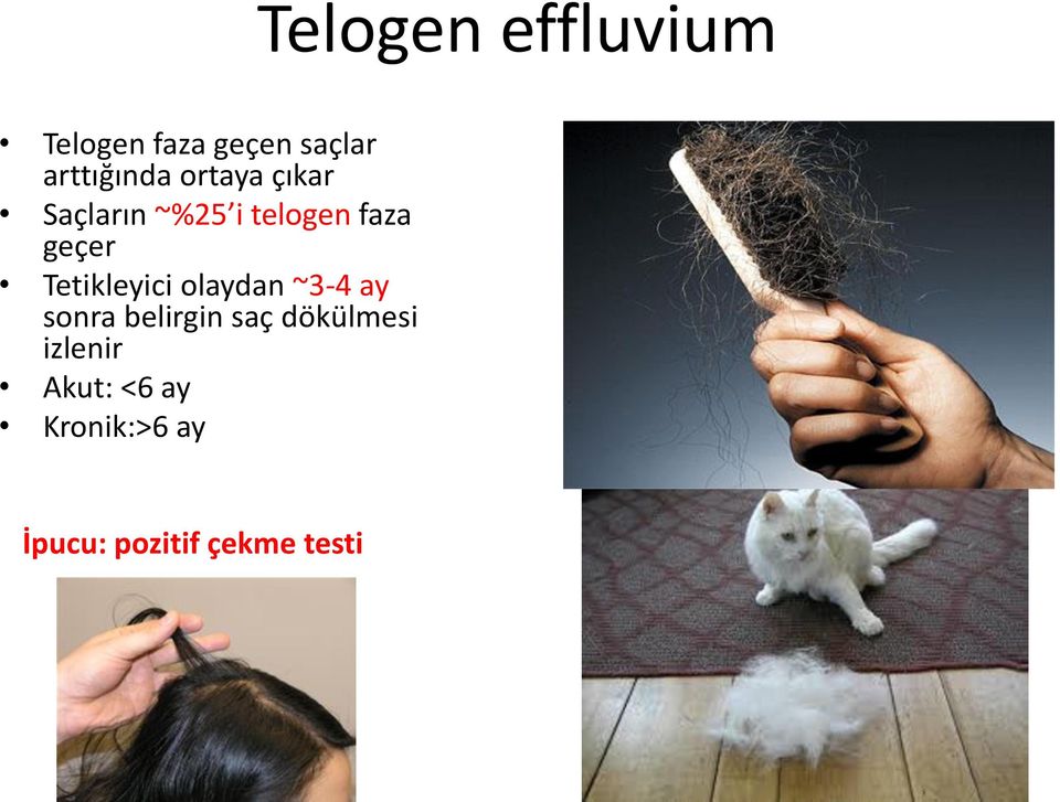 Tetikleyici olaydan ~3-4 ay sonra belirgin saç