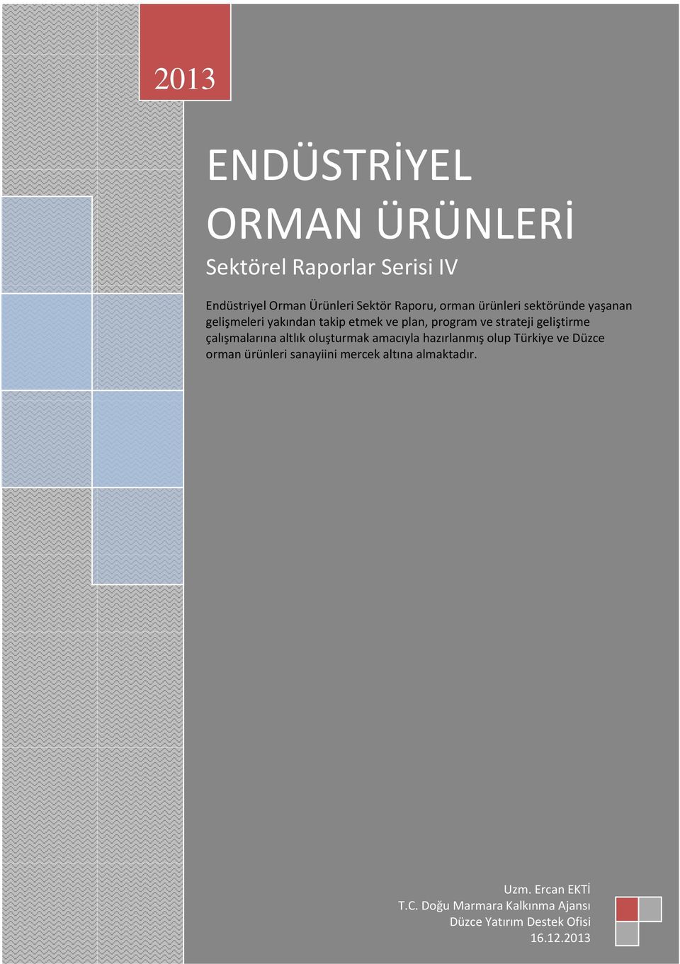 geliştirme çalışmalarına altlık oluşturmak amacıyla hazırlanmış olup Türkiye ve Düzce orman ürünleri