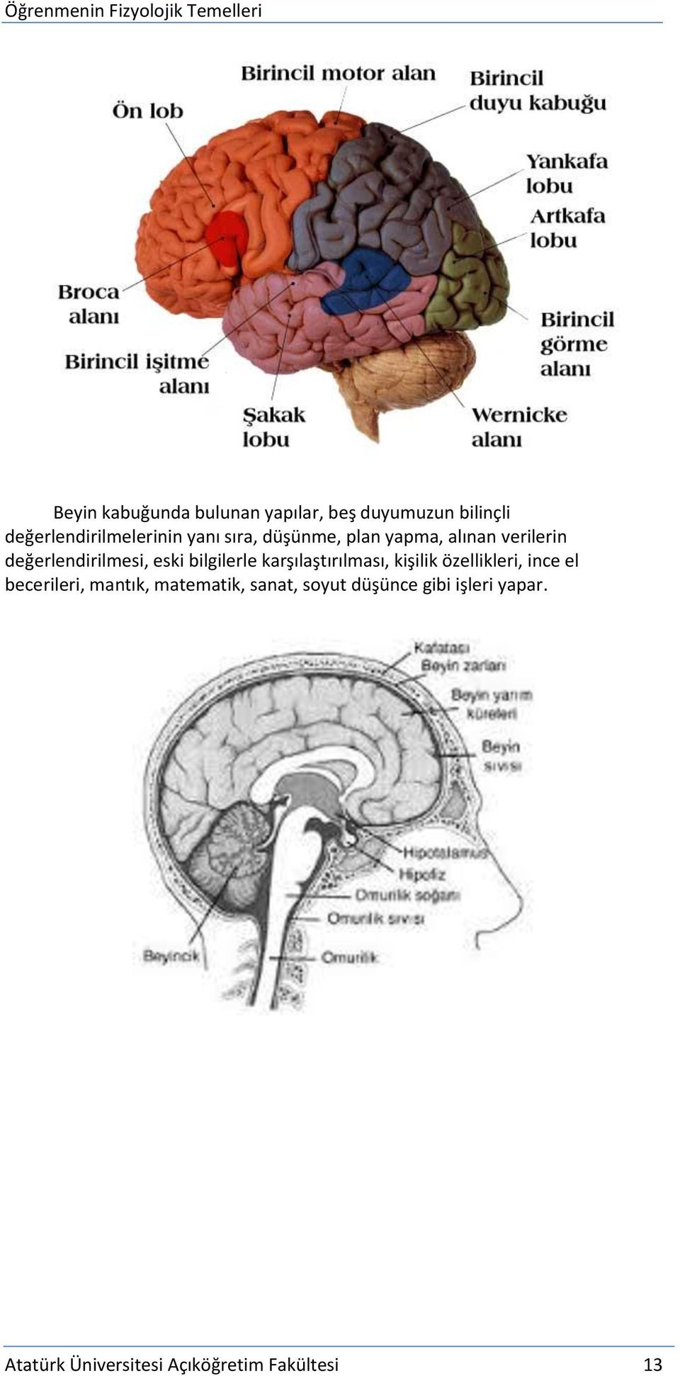 bilgilerle karşılaştırılması, kişilik özellikleri, ince el becerileri, mantık,