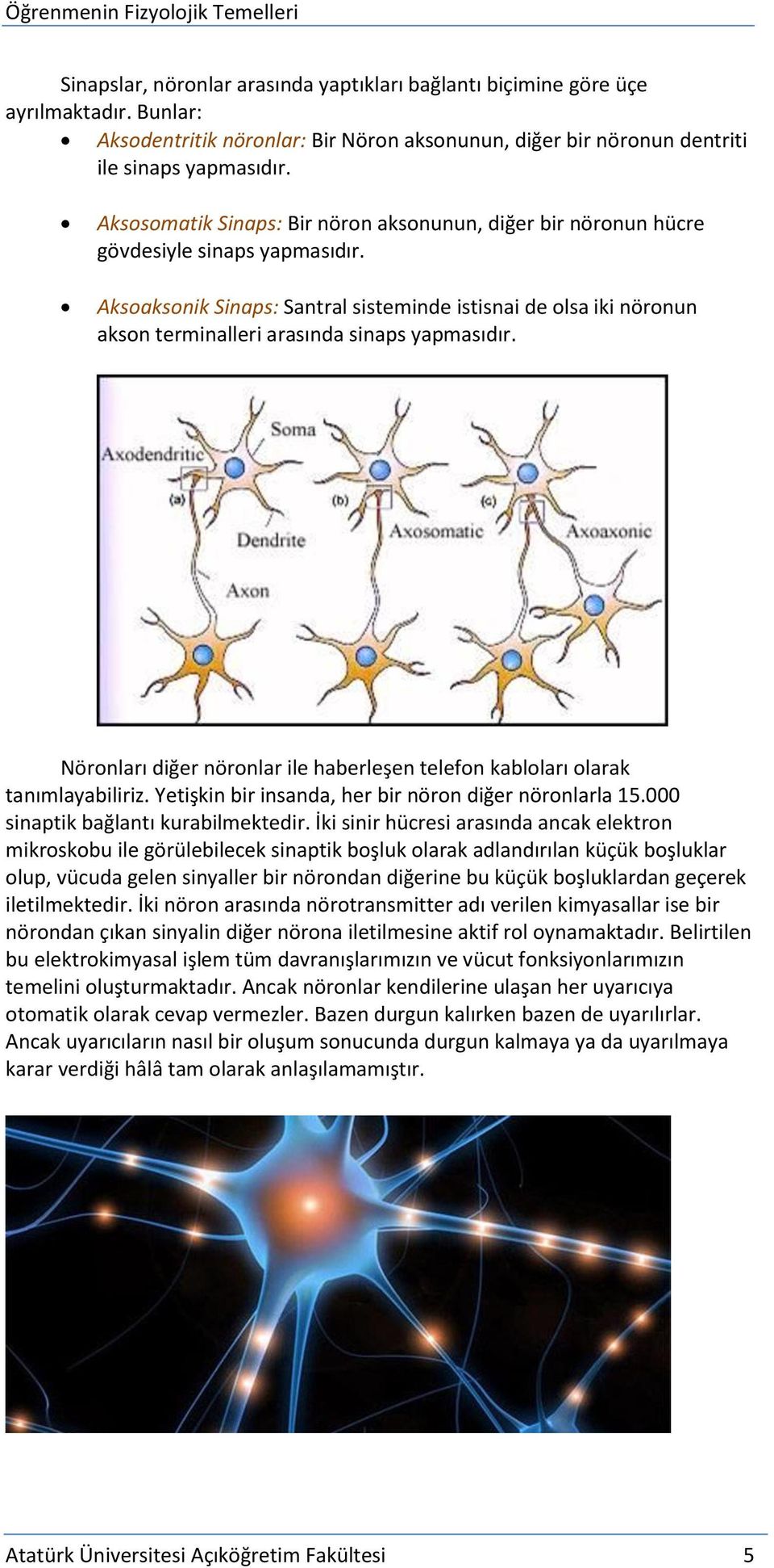Aksoaksonik Sinaps: Santral sisteminde istisnai de olsa iki nöronun akson terminalleri arasında sinaps yapmasıdır. Nöronları diğer nöronlar ile haberleşen telefon kabloları olarak tanımlayabiliriz.