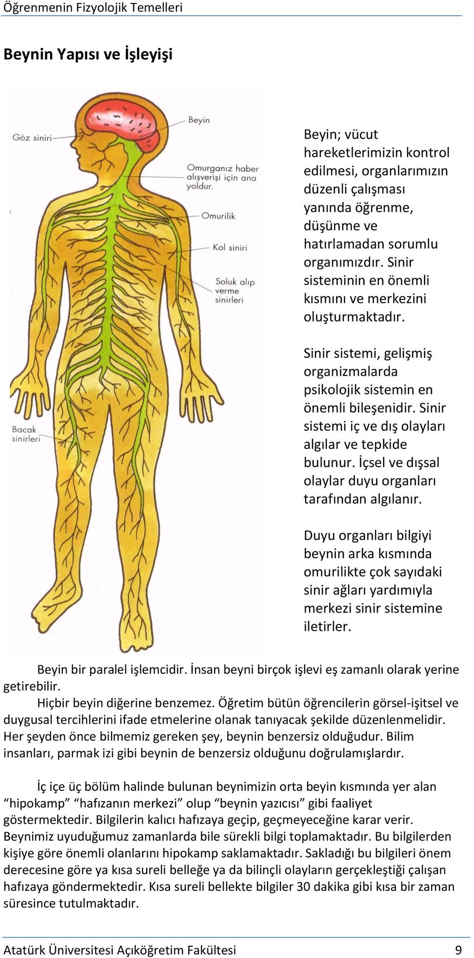 Sinir sistemi iç ve dış olayları algılar ve tepkide bulunur. İçsel ve dışsal olaylar duyu organları tarafından algılanır.