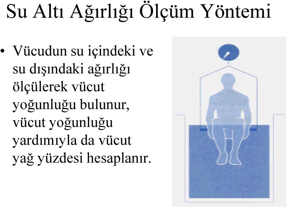 vücut yoğunluğu bulunur, vücut yoğunluğu