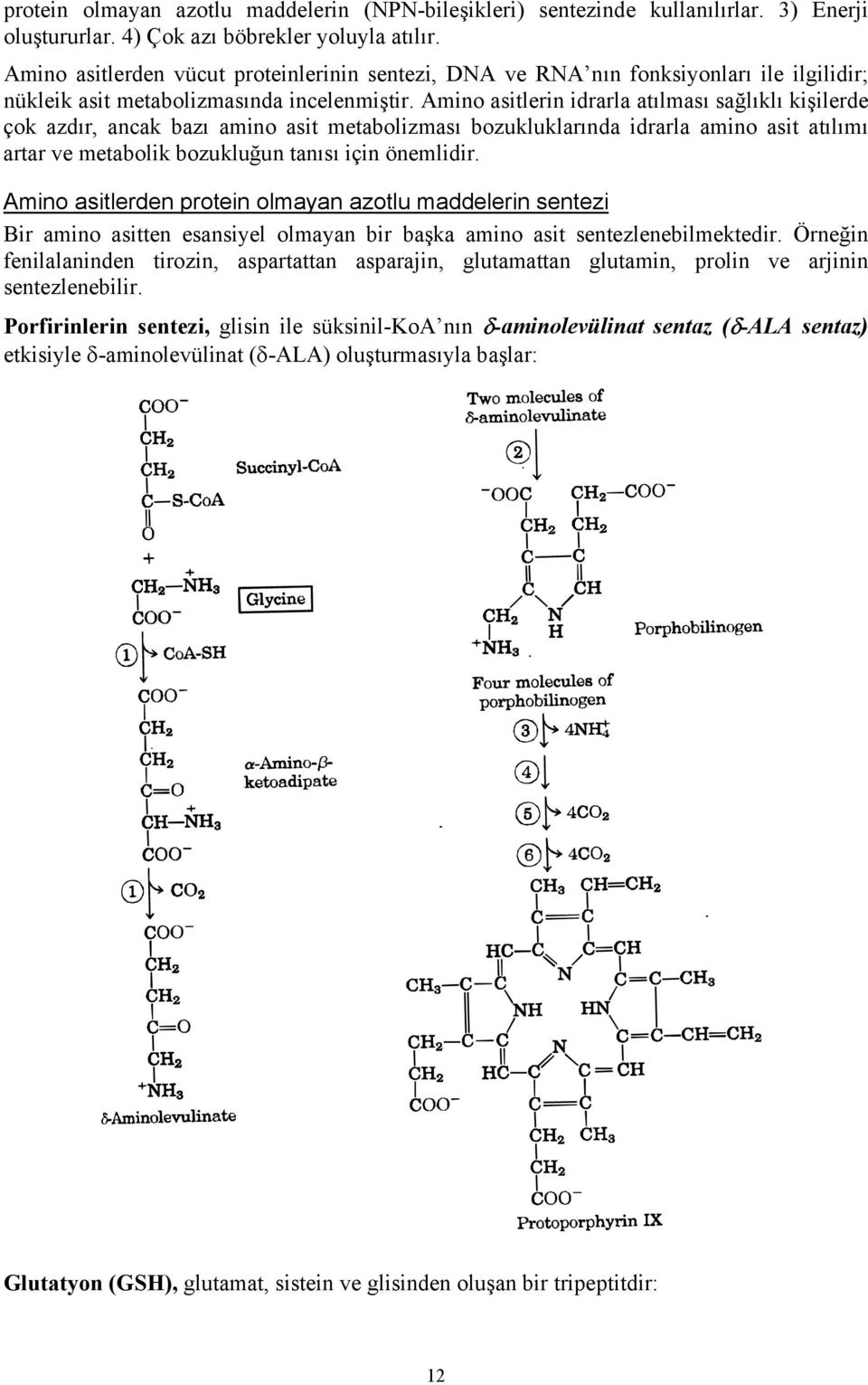 Amino asitlerin idrarla atılması sağlıklı kişilerde çok azdır, ancak bazı amino asit metabolizması bozukluklarında idrarla amino asit atılımı artar ve metabolik bozukluğun tanısı için önemlidir.