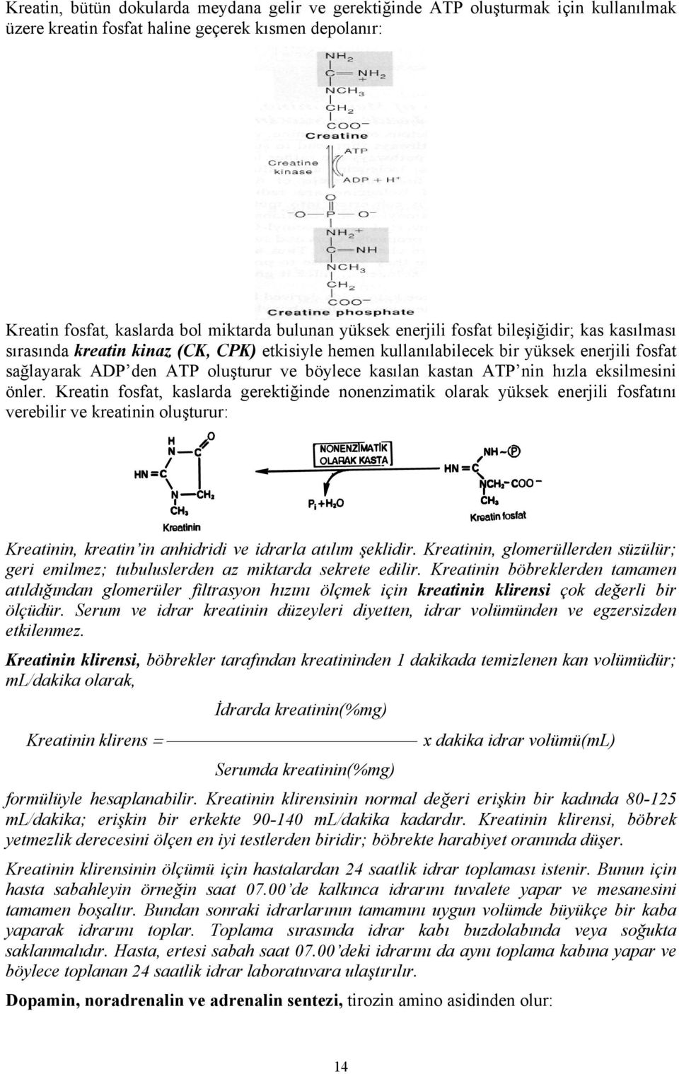 nin hızla eksilmesini önler.