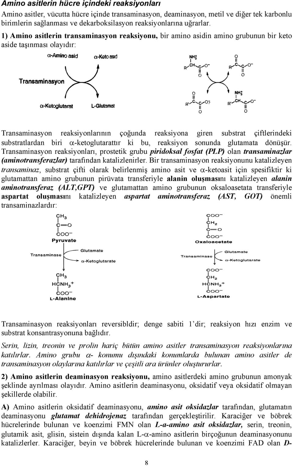 1) Amino asitlerin transaminasyon reaksiyonu, bir amino asidin amino grubunun bir keto aside taşınması olayıdır: Transaminasyon reaksiyonlarının çoğunda reaksiyona giren substrat çiftlerindeki