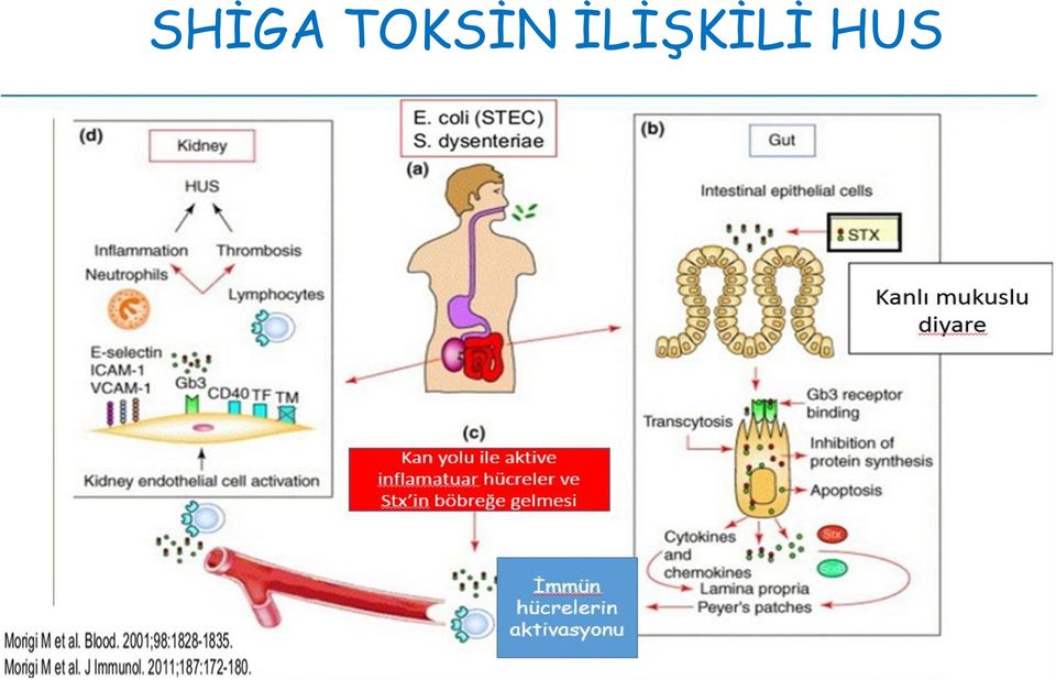 İLİŞKİLİ