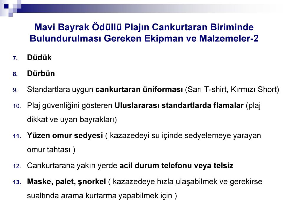 Plaj güvenliğini gösteren Uluslararası standartlarda flamalar (plaj dikkat ve uyarı bayrakları) 11.