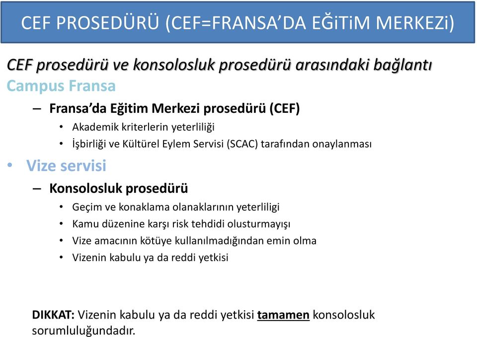 Konsolosluk prosedürü Geçim ve konaklama olanaklarının yeterliligi Kamu düzenine karşı risk tehdidi olusturmayışı Vize amacının kötüye