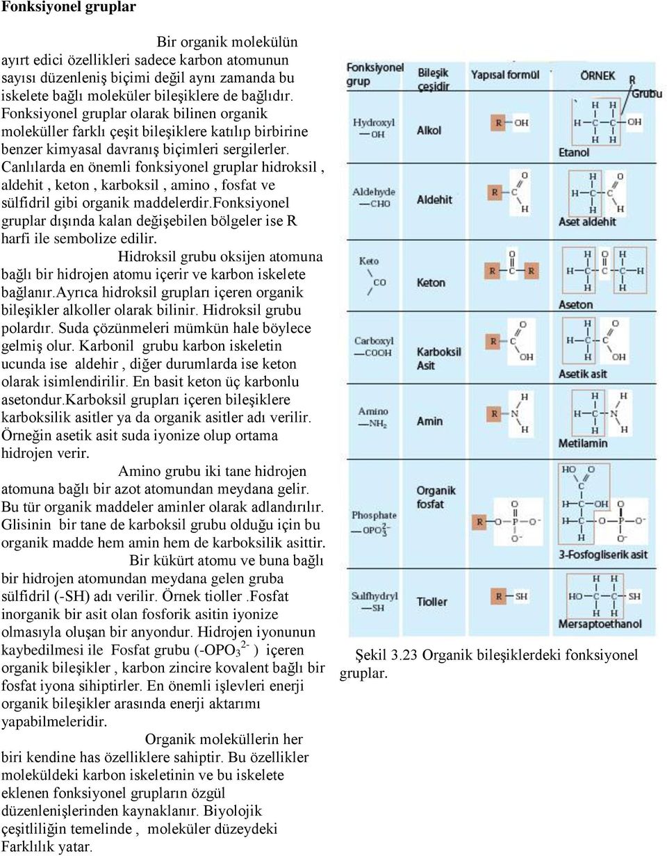 Canlılarda en önemli fonksiyonel gruplar hidroksil, aldehit, keton, karboksil, amino, fosfat ve sülfidril gibi organik maddelerdir.