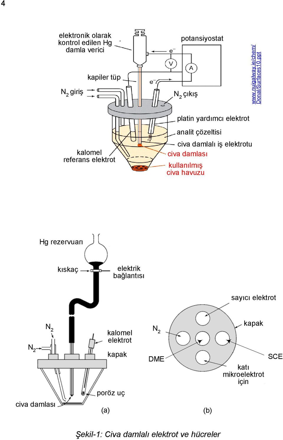 ppt platin yardımcı elektrot kalomel referans elektrot analit çözeltisi civa damlalı iş elektrotu civa damlası