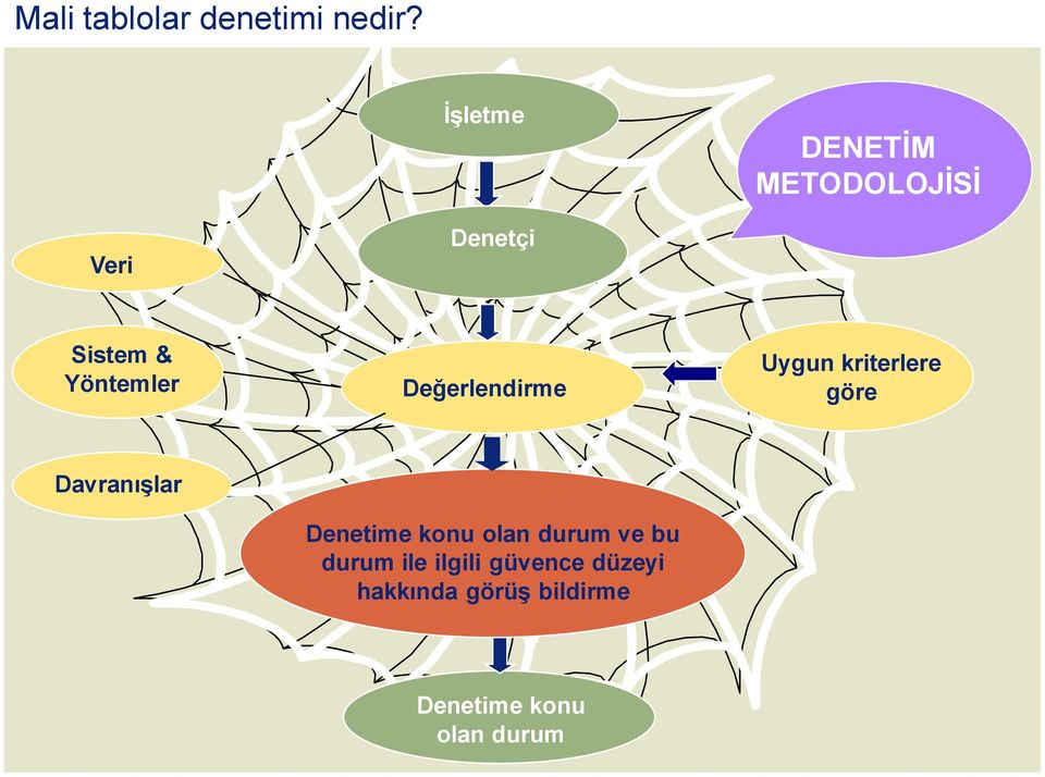 Uygun kriterlere göre DavranıĢlar Denetime konu olan durum ve bu durum ile